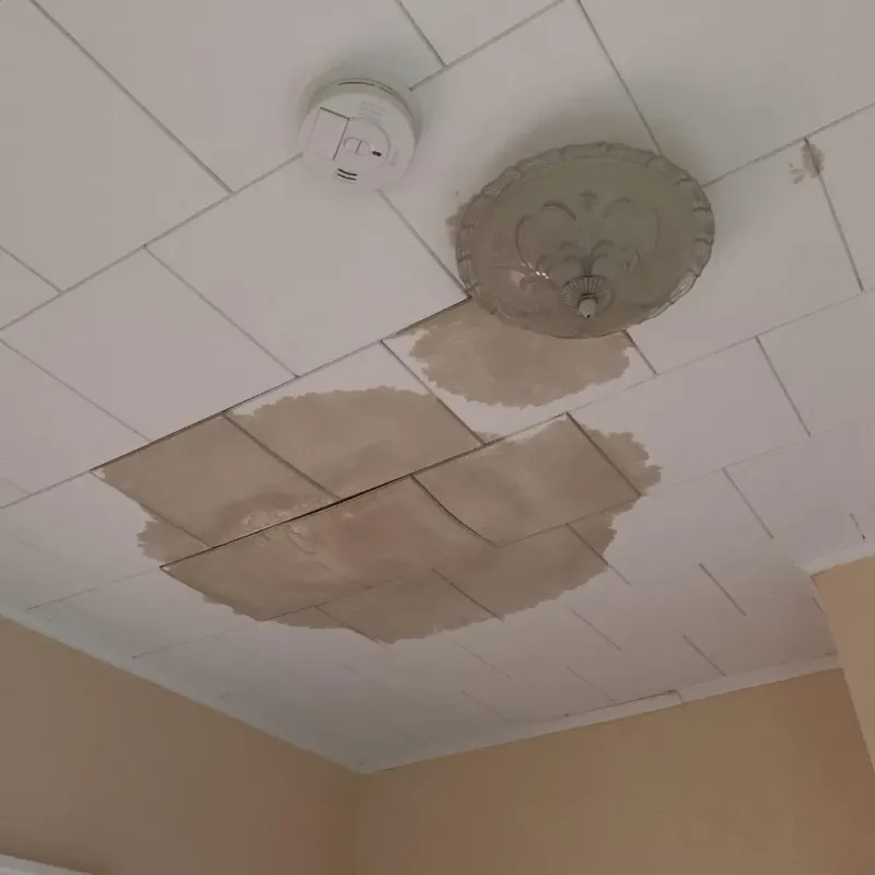 Ceiling Water Damage Repair in Clarksville, TN
