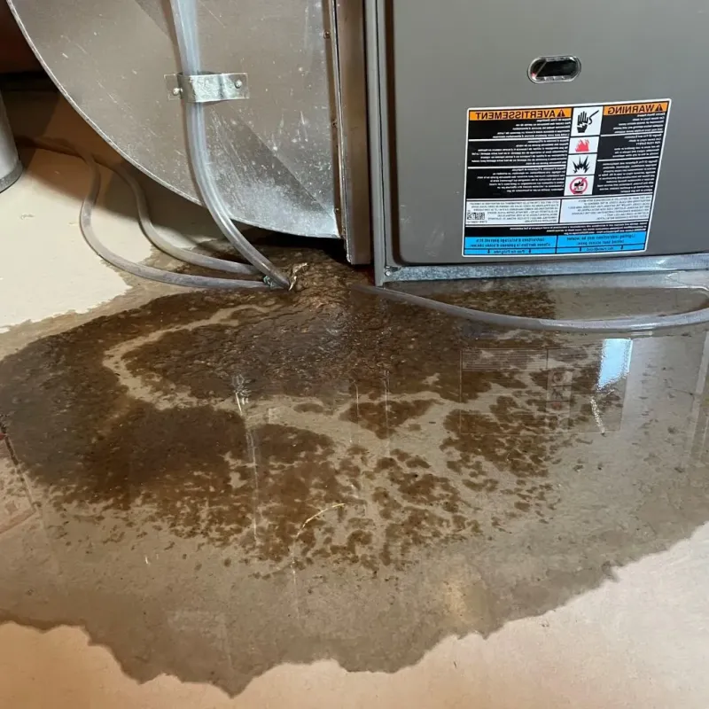 Pipe Burst and Leak Restoration in Clarksville, TN