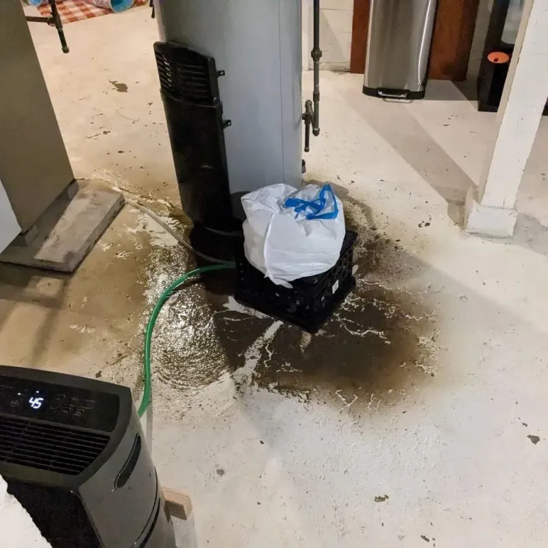 Sewage Backup Cleanup Service in Clarksville, TN